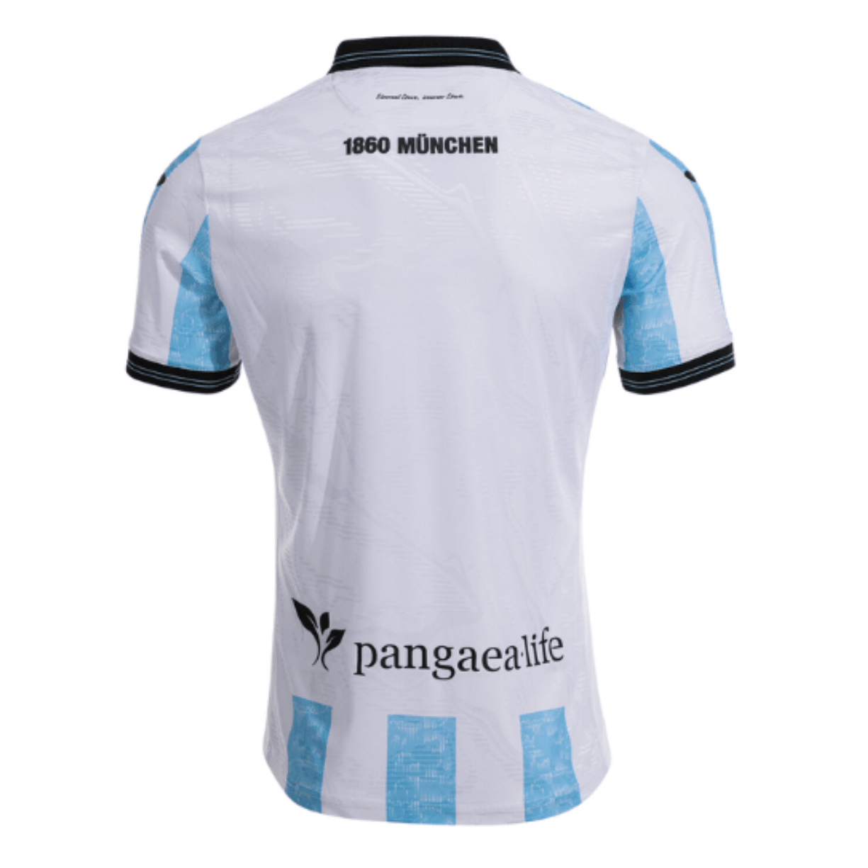Maillot domicile TSV 1860 MUNICH Hommes 25 / 26