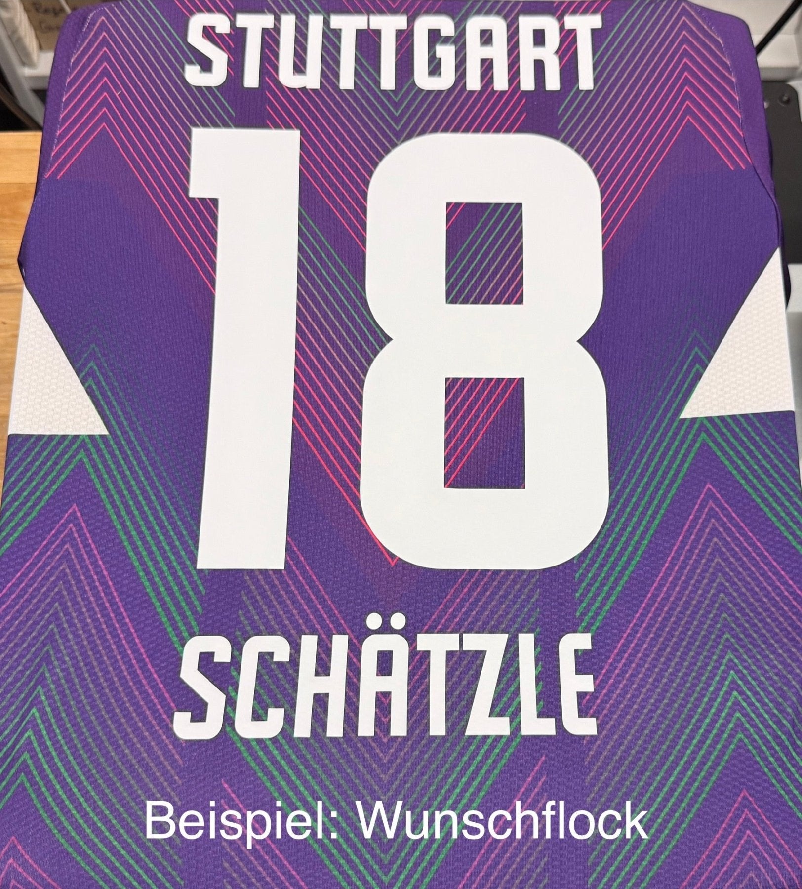 Maillot gardien VFB STUTTGART Homme Violet 24 / 25