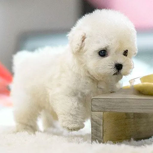 Robot Puppy | Realistic Interactive Plush Dog
