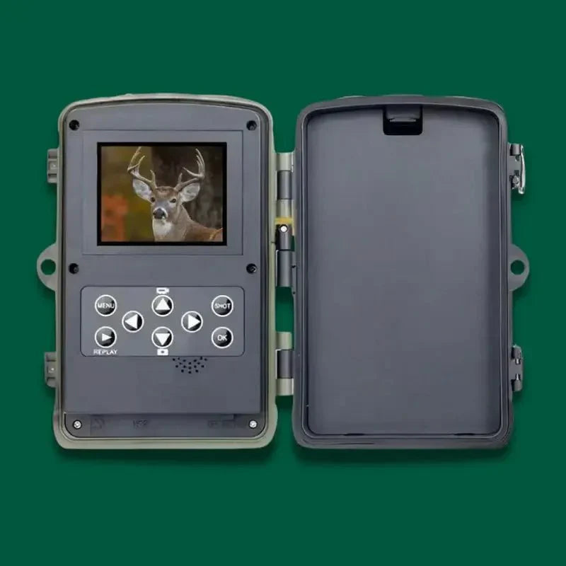 Wild Eye Vision Pro
